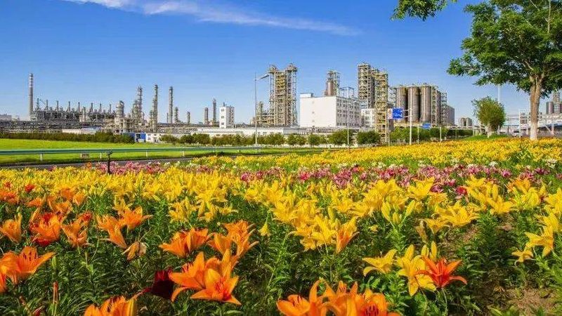 工程塑料国家标准在医疗器械领域的应用解析
