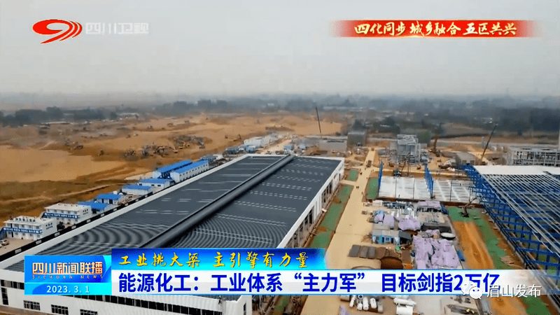 广东高分子材料品牌格局：谁在定义区域竞争力